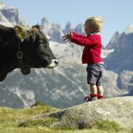  Фото 2-местный номер