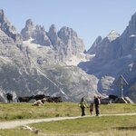  Фото 2-местный номер