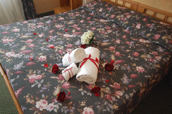 Camera romantica 