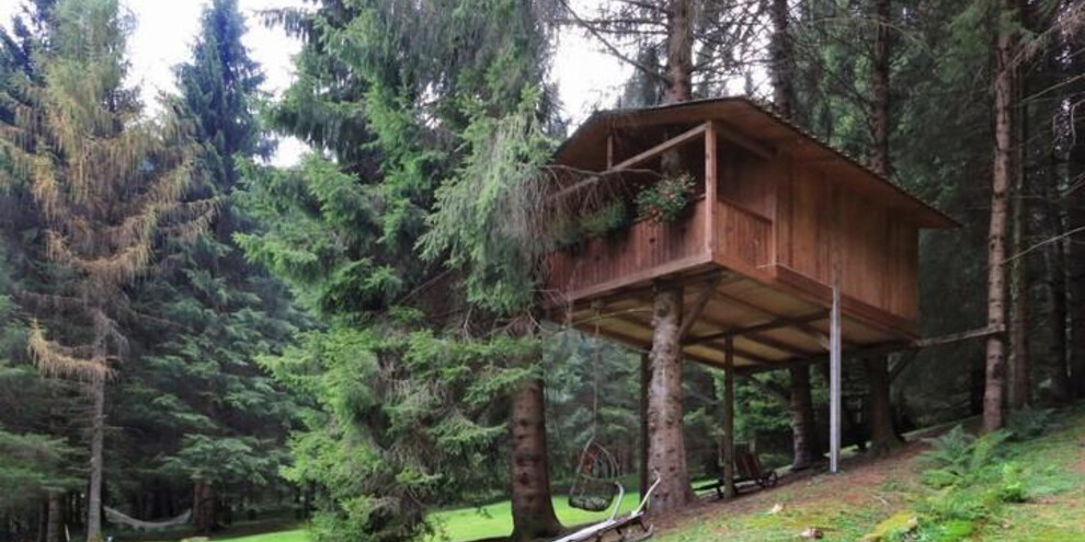 casa albero