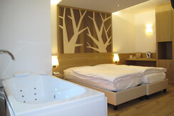 suite vasca