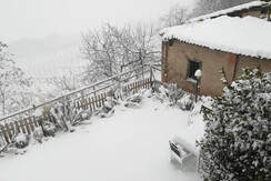giardino d'inverno