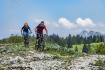 Sum_tour_dei_forti_bike_2019_Codeluppi (36) colori