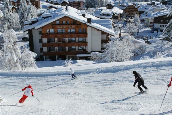 Dahu Madonna di Campiglio