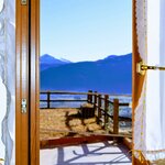  Foto von Appartement/Fewo, Dusche, poolseitig