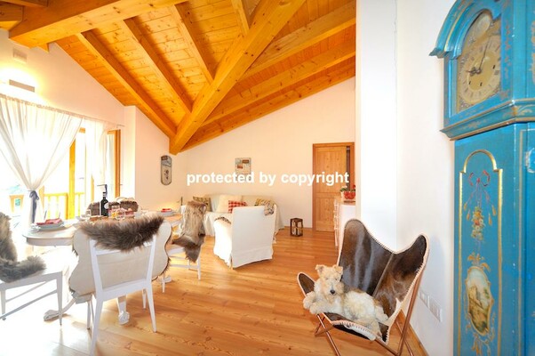 Chalet Dolomiti 6