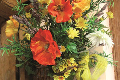 D 720 HD FIORI