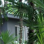  Foto von Cottage Vista Lago NOT REFUNDABLE