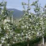 Foto di CAMERA DOPPIA