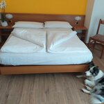 Foto di Doppia Standard 2 BB