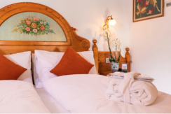 hotel bonapace camera basic