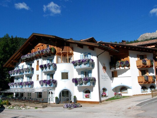Hotel Madonnina Resort and Wellness - Soraga - Val di Fassa