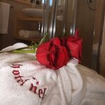 Zdjęcie Pokój jednoosobowy BB