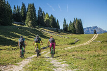 Sum_bike_estate_folgari_bike ok