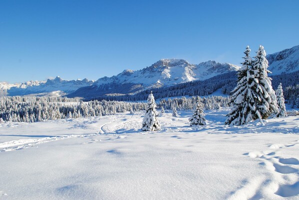 Inverno in Trentino