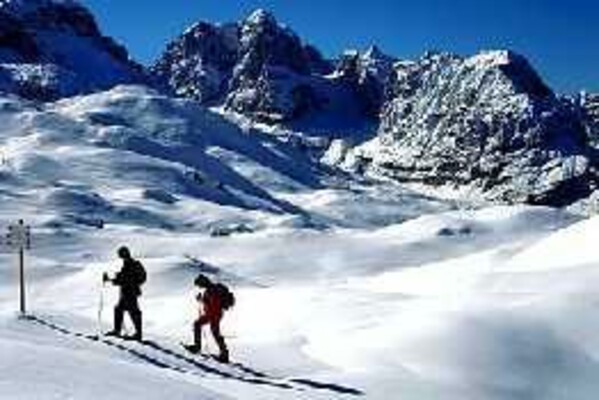 sci alpino/Madonna di Campiglio