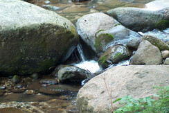 foto-miste 023
