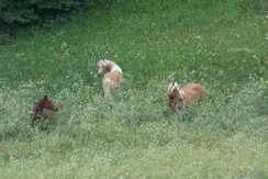 DSCN0126