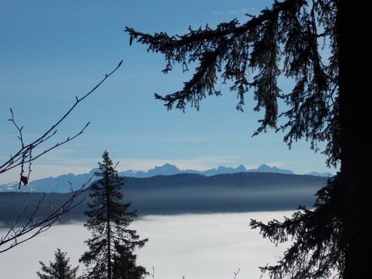 panorama inverno