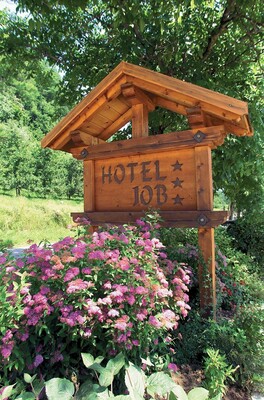 Hotel Job - Monclassico