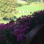  Foto von Vierbettzimmer