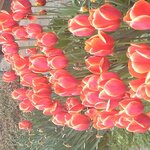  Foto von Einzelzimmer, Dusche oder Bad, Nichtraucher