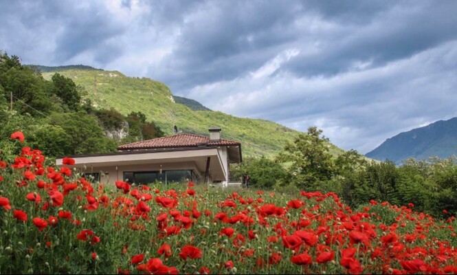 La casa del merlo1