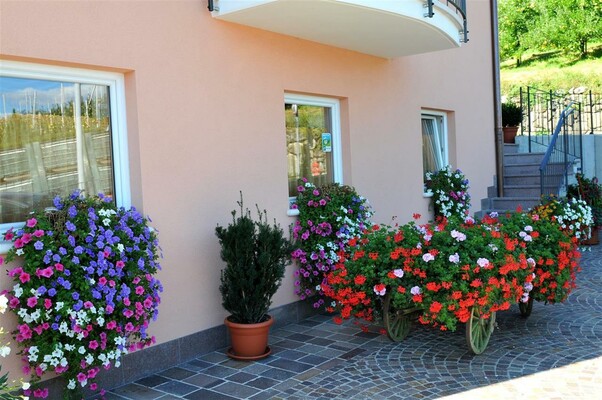 particolari d'estate