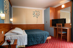 standard vista Brenta