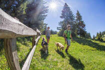 Sum_pet_friendly_cani_lago_coe_2017_Gober (15)(1)