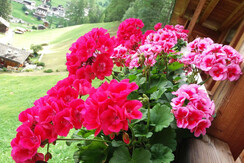 Mas-de-la-Bolp-Val-di-Rabbi-Trentino-Mansarda-Gigl