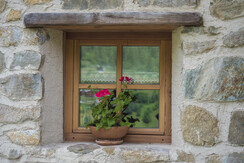Mas de la Bolp, Val di Rabbi, Trentino, Anemone (1