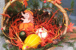 Mas de la Bolp, Val di Rabbi, Trentino, Genzianell