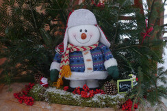 Mas de la Bolp, Val di Rabbi, Trentino, Genzianell