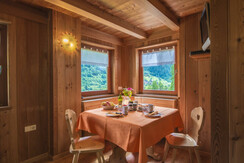 Mas de la Bolp, Val di Rabbi, Trentino, Anemone (5