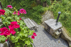 Mas de la Bolp, Val di Rabbi, Trentino, Anemone (1