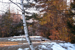 18 genn. il prato al tramonto