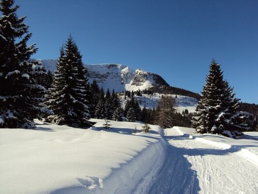 Paesaggio con neve