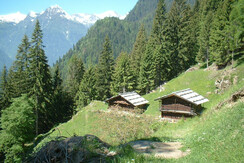 Masi di Tognola
