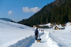 Paesaggio invernale