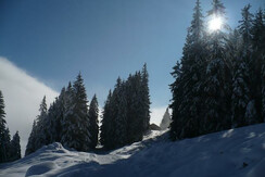 Paesaggio invernale