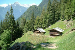 Masi di Tognola (sentiero ecomuseale)