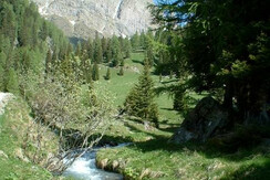 Scorcio nel Vanoi
