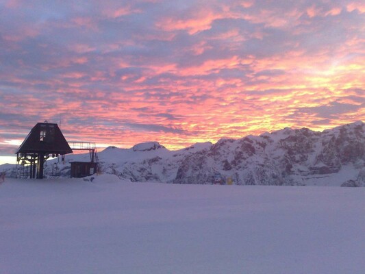 Rif Orso Bruno Alba sul Sasso Rosso 