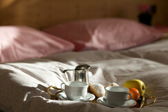 Hotel Panorama Panchià colazione in camera