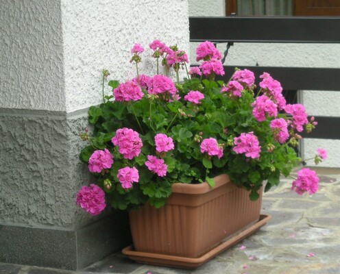 Residence Bonetti - esterno