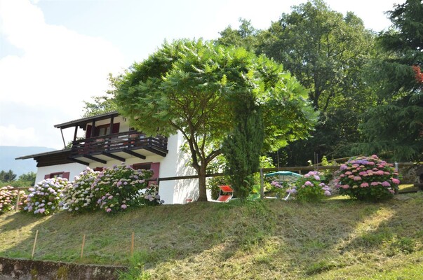 chalet pineta