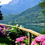 Foto Appartamento "Fiordaliso" sul lago