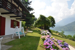 giardino pineta