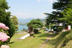 giardino pineta